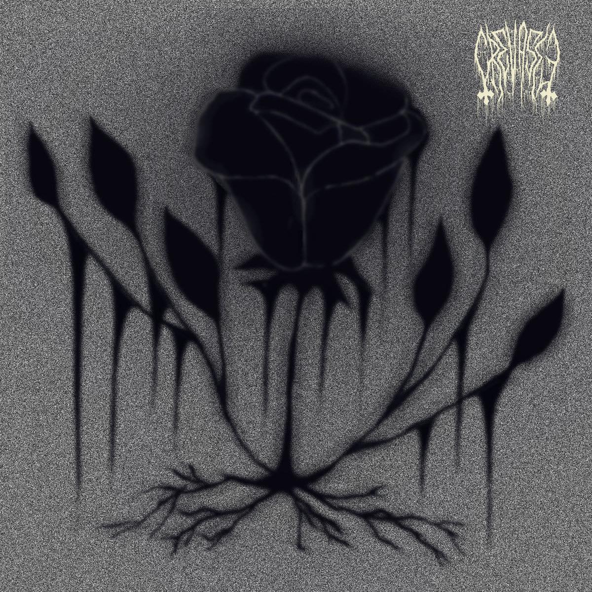 Review: Crevasse – Orphans (Full EP,  2024) | Black metal