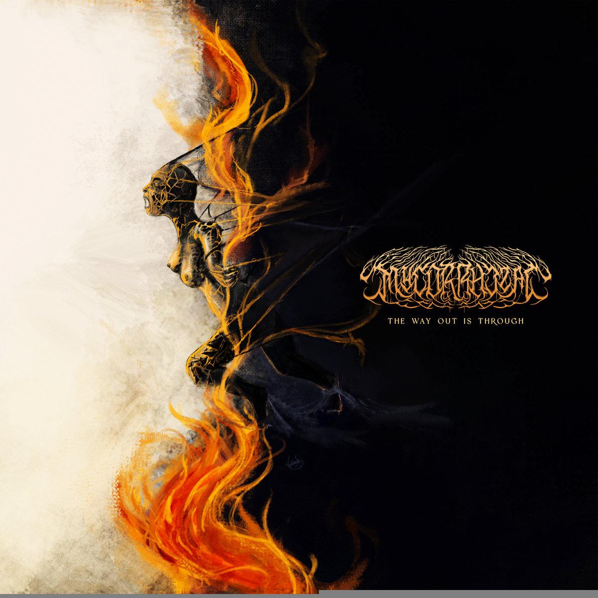 Review: Mycorrhizal – ‘The Way Out is Through’ (Full album, 2025) | Electronica, BM